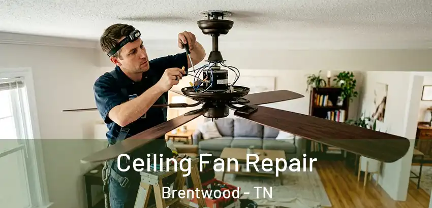  Ceiling Fan Repair Brentwood - TN