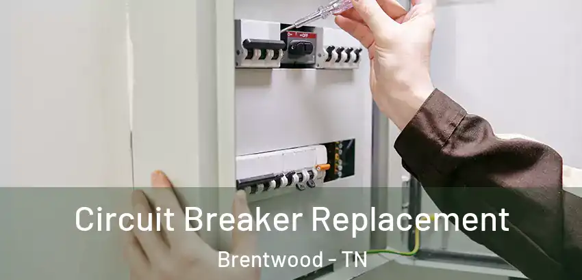  Circuit Breaker Replacement Brentwood - TN