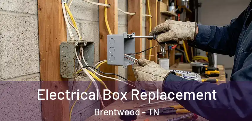  Electrical Box Replacement Brentwood - TN