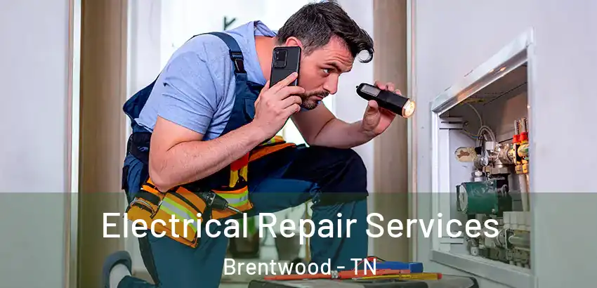  Electrical Repair Services Brentwood - TN